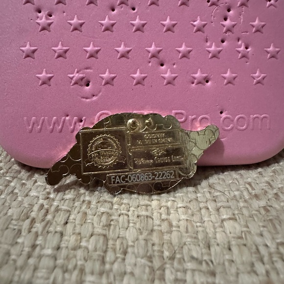 Disney WISH Cruise-line Pin - Picture 4 of 4